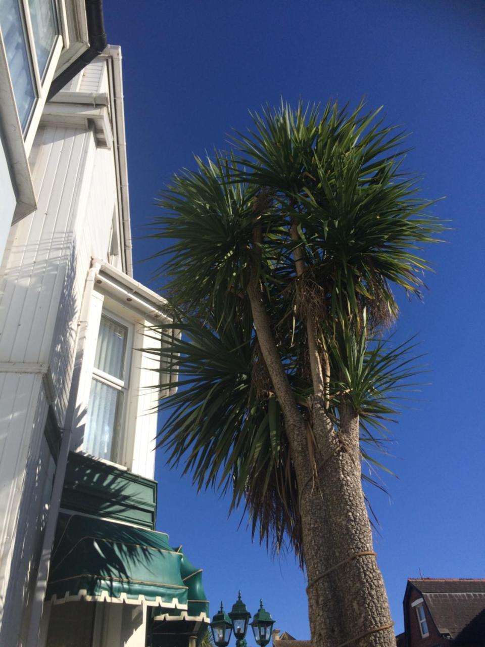 The Haldon Guest House Paignton Eksteriør bilde